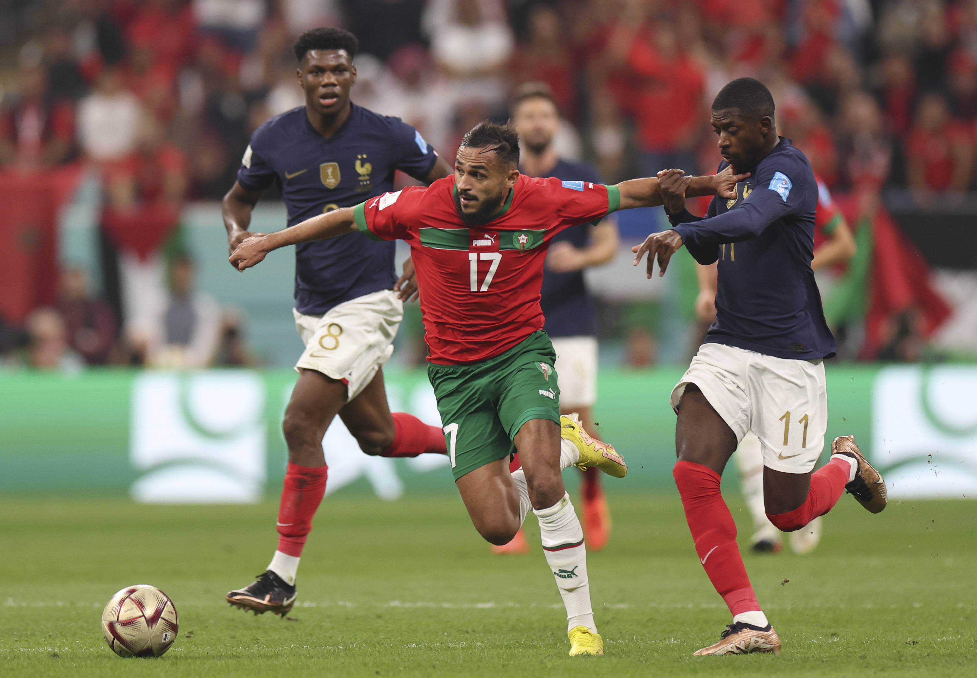 分和奖金榜 分和奖金榜