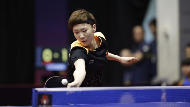 罗贝托的职 罗贝托的职