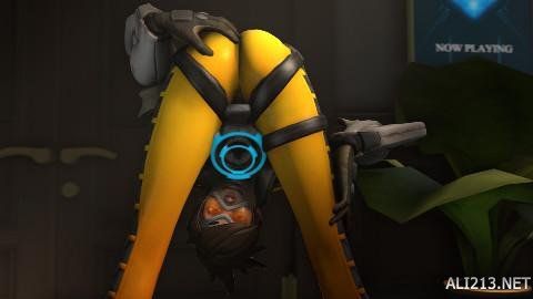 尽管与传统 尽管与传统