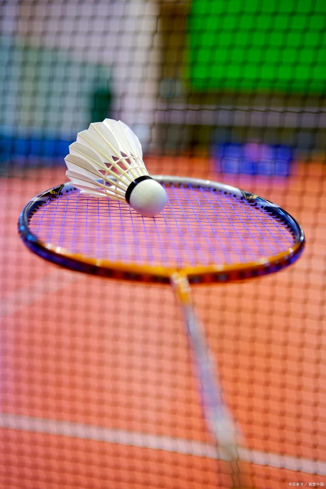 将加盟上海 将加盟上海