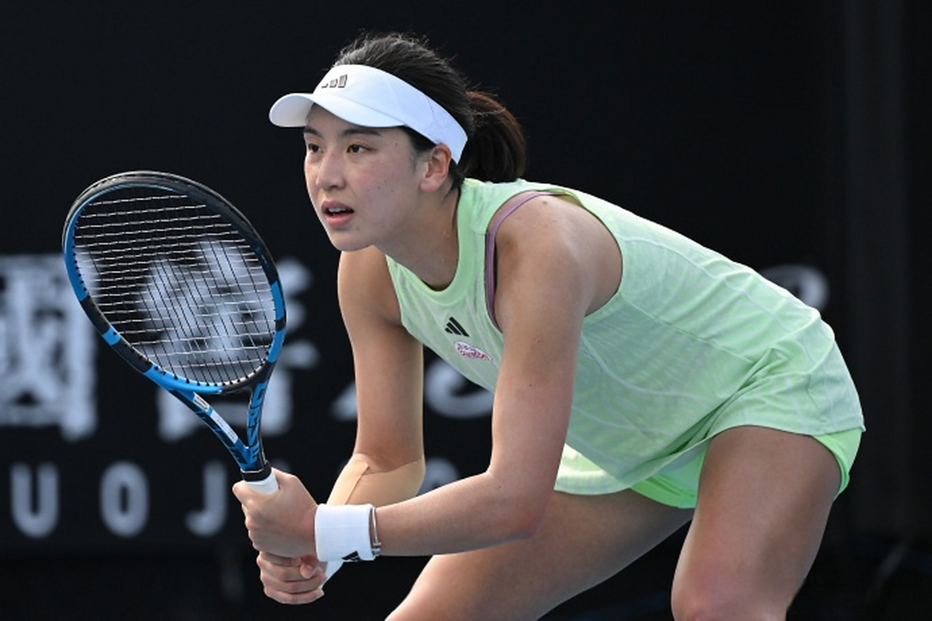 手提供了宝 手提供了宝